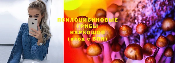 бошки Абаза