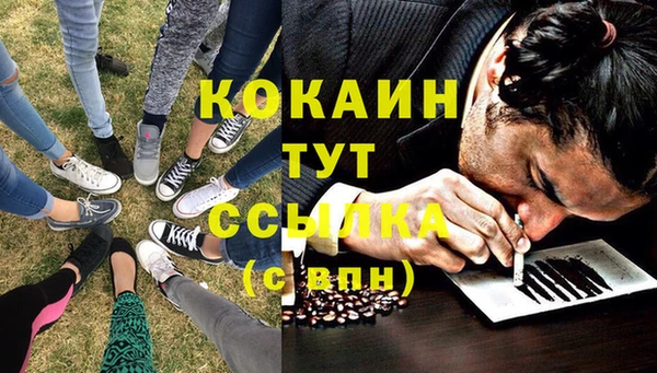бошки Абаза