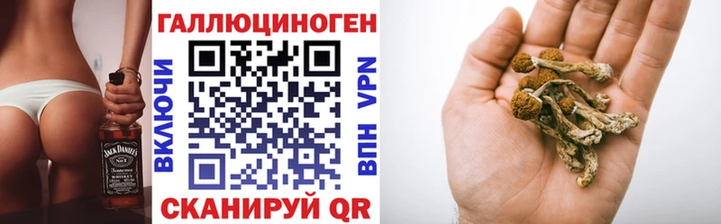 где купить наркоту  Алейск  ссылка на мегу ссылки  Псилоцибиновые грибы Psilocybe 