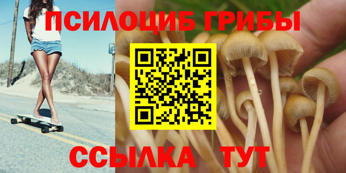 Псилоцибиновые грибы MAGIC MUSHROOMS  Вход с VPN  Алейск 