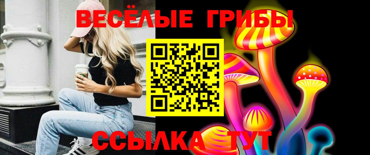 Псилоцибиновые грибы прущие грибы Алейск